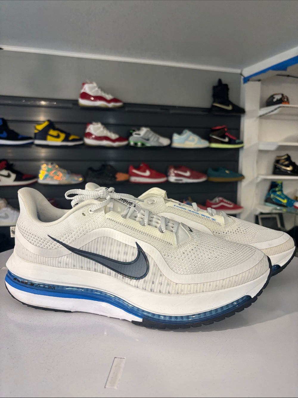 Nike Pegasus Premium Men’s Size 15